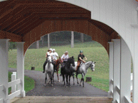Equestrian Slide Show